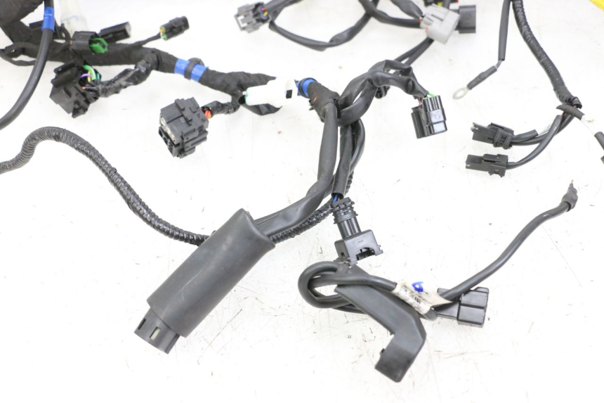 photo de WIRE HARNESS ROYAL ENFIELD CONTINENTAL GT 650 (2019 - 2024) - Markings and original references