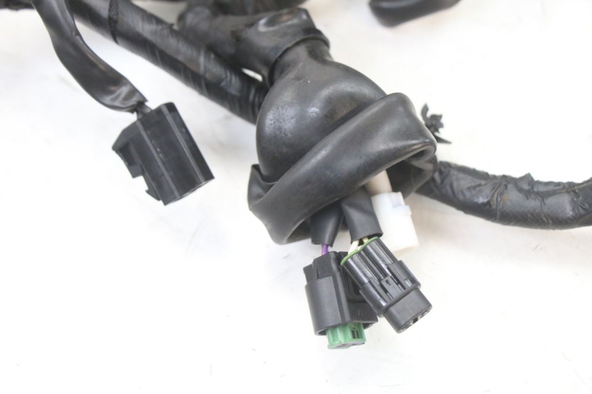 photo de WIRE HARNESS ROYAL ENFIELD HYMALAYAN 410 (2016 - 2023) - Fixing points details