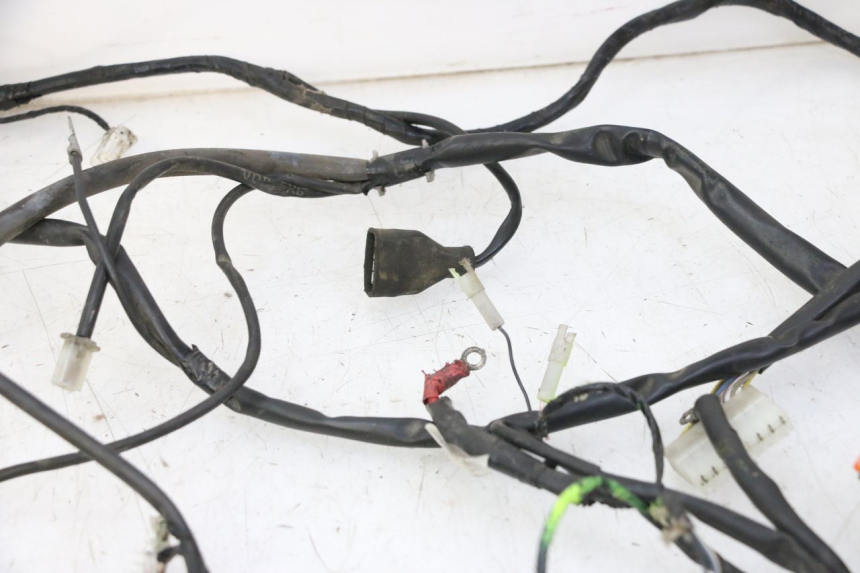 photo de WIRE HARNESS GILERA RUNNER SP 50 (2009 - 2017) - Fixing points details