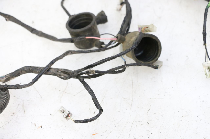 photo de WIRE HARNESS GILERA RUNNER SP 50 (2009 - 2017) - Markings and original references