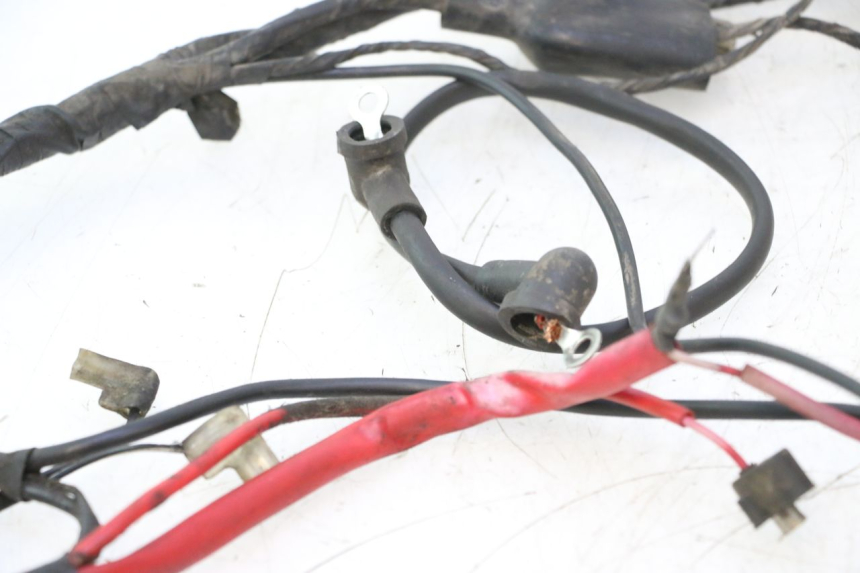 photo de WIRING HARNESS KEEWAY RY6 2T 50 (2011 - 2019) - Alternative perspective