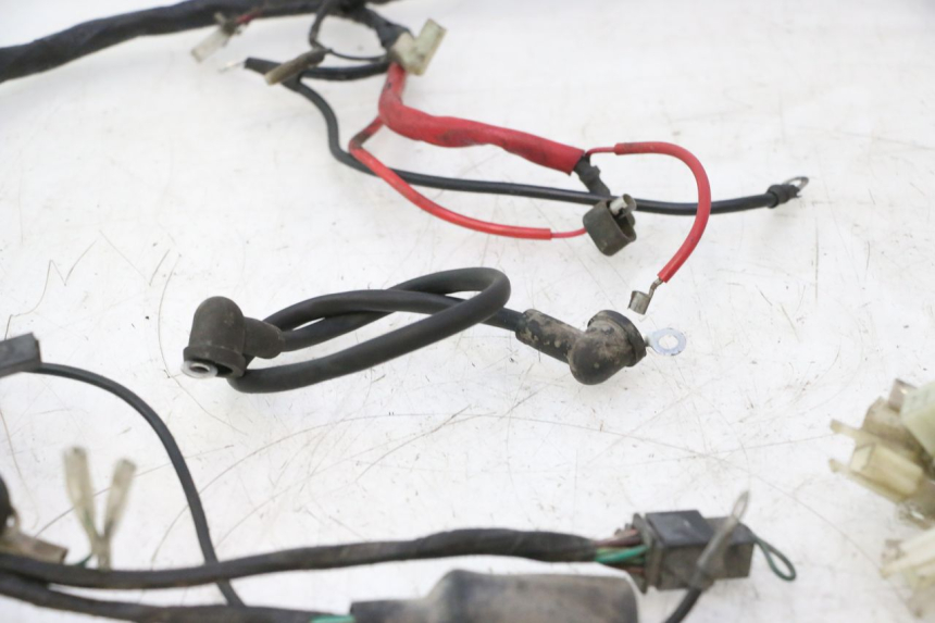 photo de WIRING HARNESS KEEWAY RY6 2T 50 (2011 - 2019) - Fixing points details