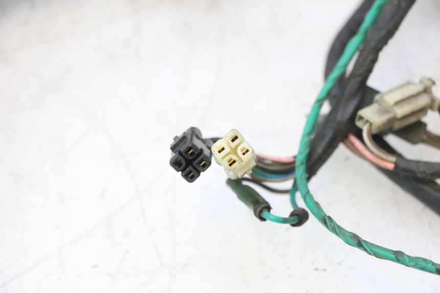 photo de WIRE HARNESS DAELIM S2 125 (2006 - 2007) - Zoom on usage condition