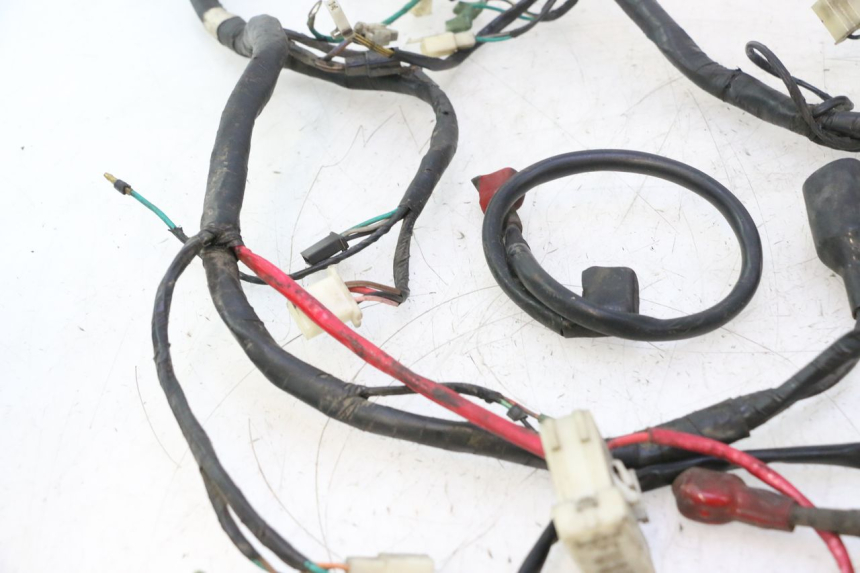 photo de WIRE HARNESS DAELIM S2 125 (2006 - 2007) - Markings and original references