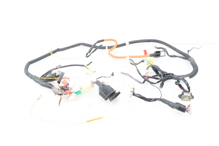 photo de WIRE HARNESS BAIKU SAKURA 1 (2021 - 2025) - Main view