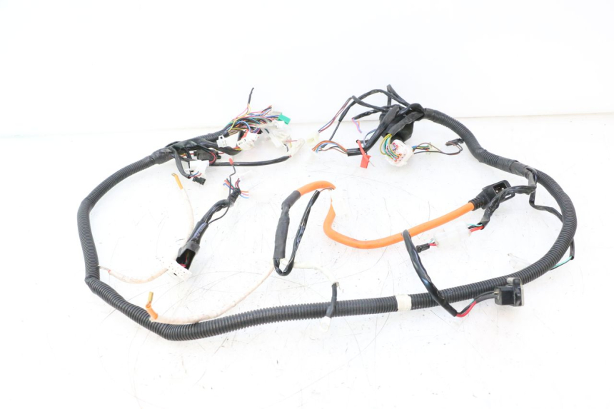 photo de WIRE HARNESS BAIKU SAKURA 1 (2021 - 2025) - Component detail