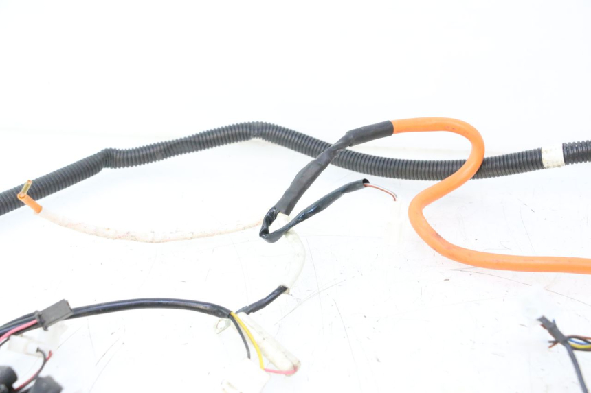 photo de WIRE HARNESS BAIKU SAKURA 1 (2021 - 2025) - Alternative perspective