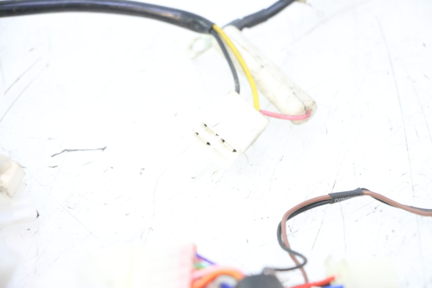 photo de WIRE HARNESS BAIKU SAKURA 1 (2021 - 2025) - Technical close-up