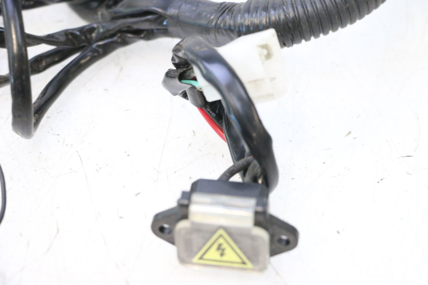 photo de WIRE HARNESS BAIKU SAKURA 1 (2021 - 2025) - Checked used part
