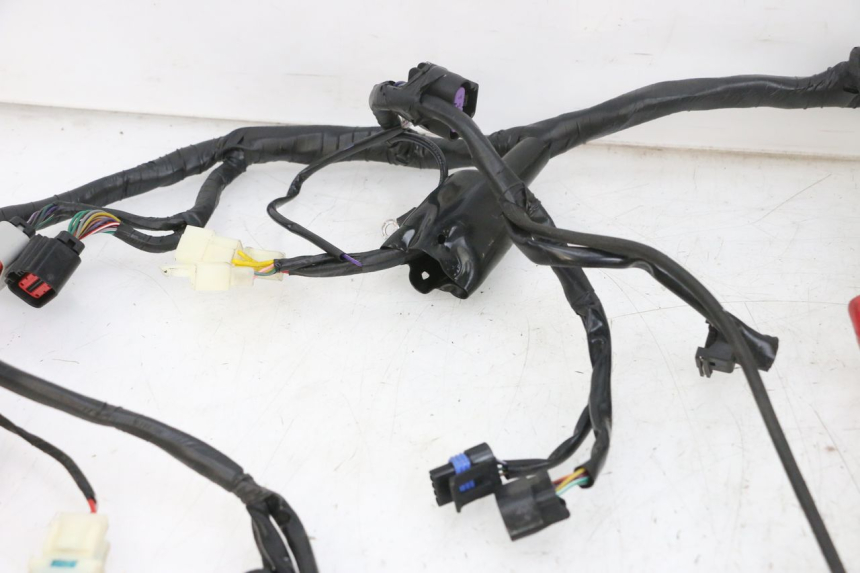 photo de WIRE HARNESS JM MOTORS SANTANA EVO 50 (2024 - 2026) - Additional view of the item