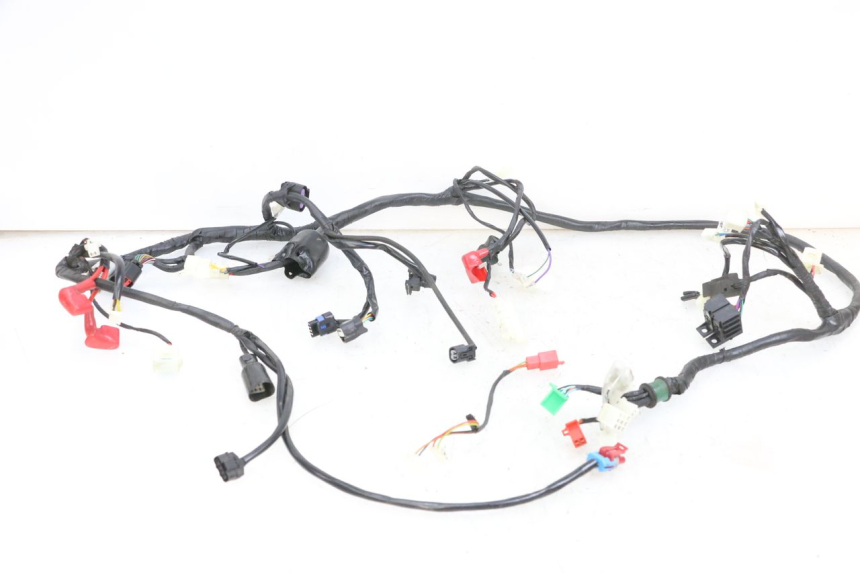 photo de WIRE HARNESS JM MOTORS SANTANA EVO 50 (2024 - 2026) - Supplementary product photo