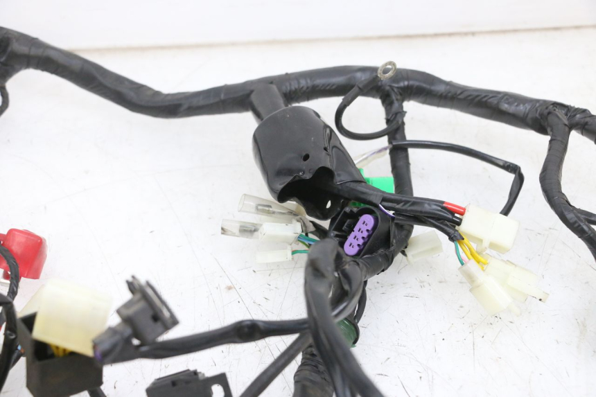 photo de WIRE HARNESS JM MOTORS SANTANA EVO 50 (2024 - 2026) - Product overview
