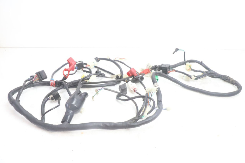 photo de WIRE HARNESS JM MOTORS SANTANA EVO 50 (2024 - 2026) - Main view