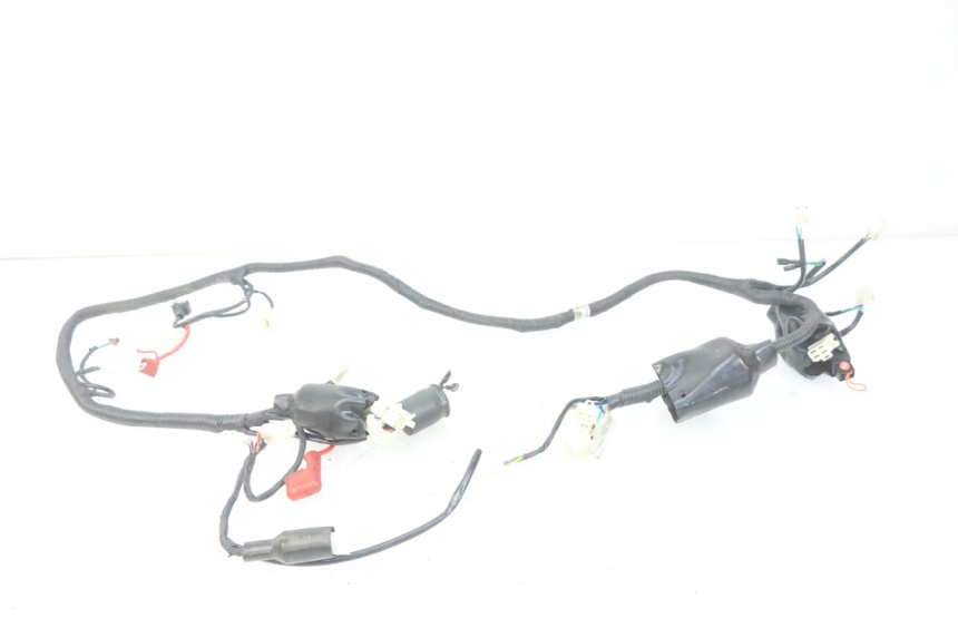 photo de WIRING HARNESS JM MOTORS SANTANA 50 (2014 - 2023) - Main view