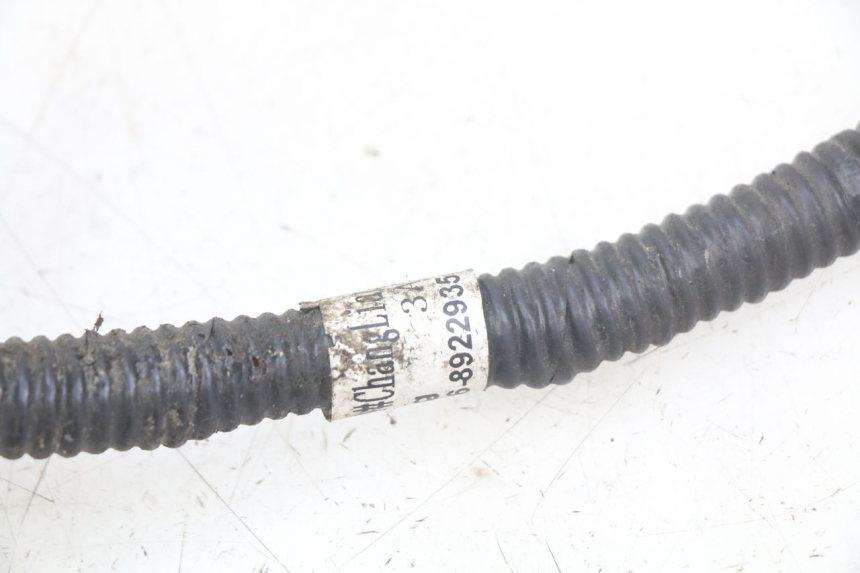 photo de WIRING HARNESS JM MOTORS SANTANA 50 (2014 - 2023) - Component detail