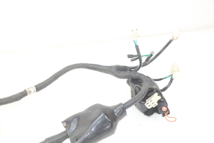 photo de WIRING HARNESS JM MOTORS SANTANA 50 (2014 - 2023) - Technical close-up