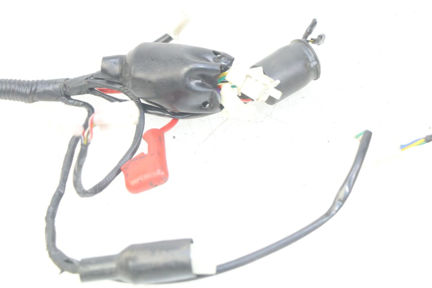 photo de WIRING HARNESS JM MOTORS SANTANA 50 (2014 - 2023) - Fixing points details