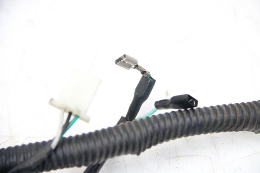 photo de WIRING HARNESS JM MOTORS SANTANA 50 (2014 - 2023) - Component detail