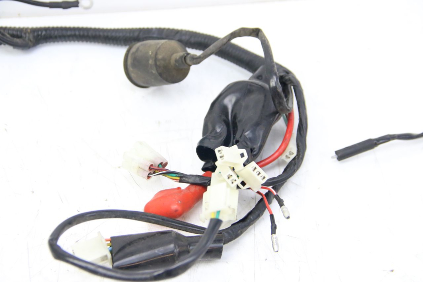 photo de WIRING HARNESS JM MOTORS SANTANA 50 (2014 - 2023) - Alternative perspective