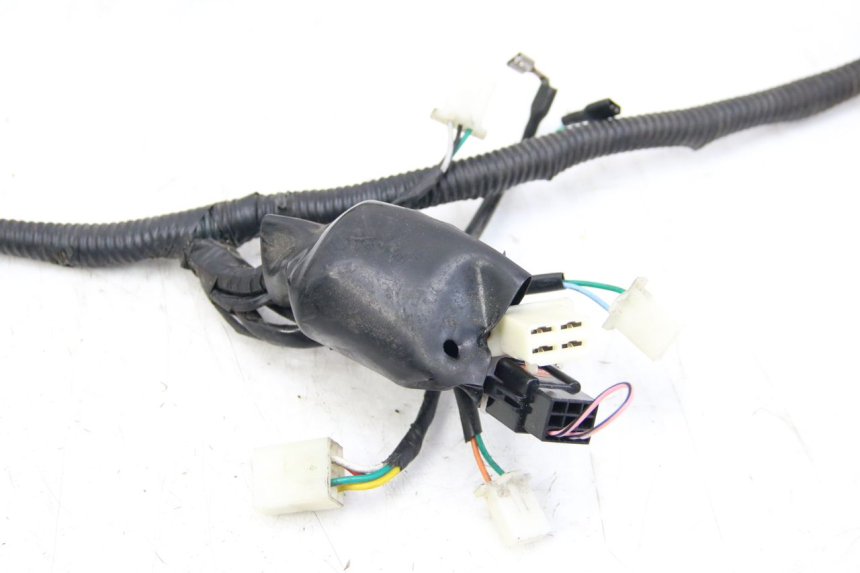 photo de WIRING HARNESS JM MOTORS SANTANA 50 (2014 - 2023) - Fixing points details