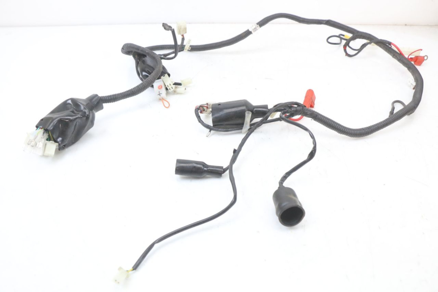 photo de WIRING HARNESS JM MOTORS SANTANA 50 (2014 - 2023) - Main view