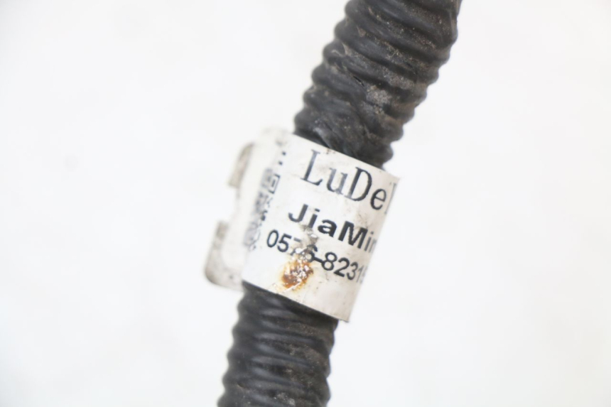 photo de WIRING HARNESS JM MOTORS SANTANA 50 (2014 - 2023) - Alternative perspective