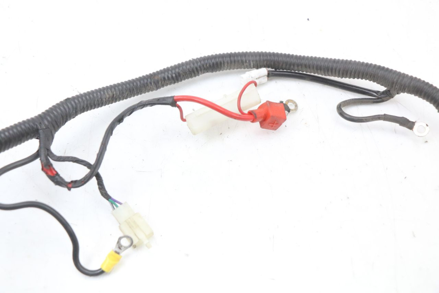 photo de WIRING HARNESS JM MOTORS SANTANA 50 (2014 - 2023) - Fixing points details