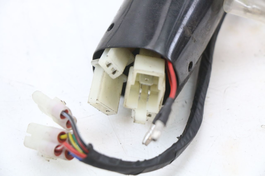 photo de WIRING HARNESS JM MOTORS SANTANA 50 (2014 - 2023) - Checked used part