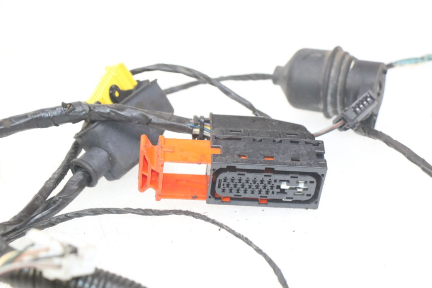 photo de WIRING HARNESS PEUGEOT SATELIS 125 (2010 - 2012) - Alternative perspective