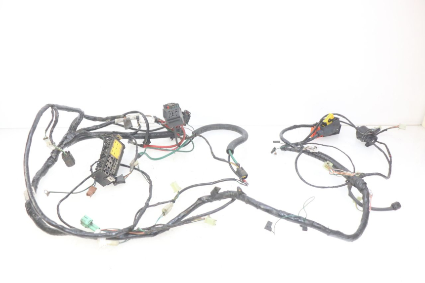 photo de WIRING HARNESS PEUGEOT SATELIS 125 (2010 - 2012) - Fixing points details