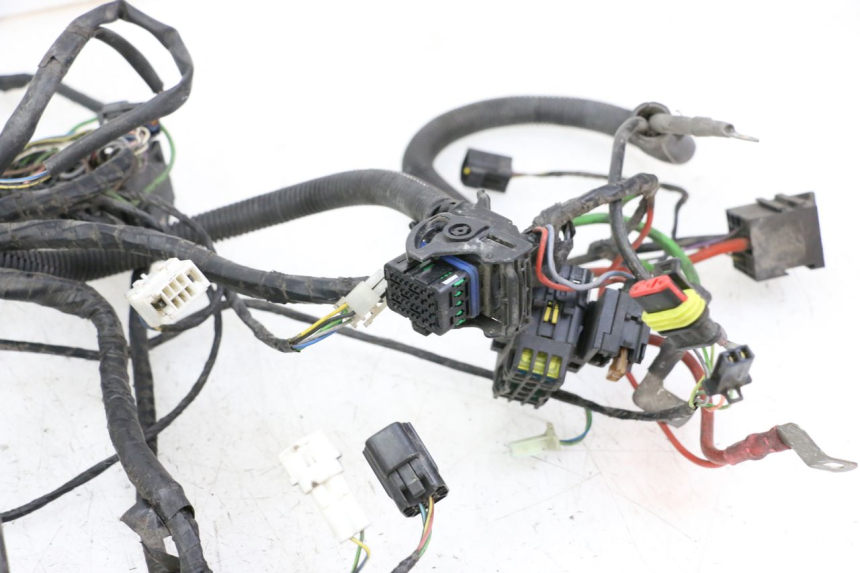 photo de WIRE HARNESS PEUGEOT SATELIS 125 (2013 - 2018) - Component detail