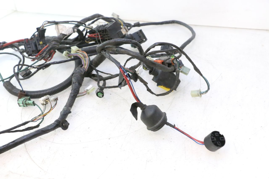 photo de WIRING HARNESS PEUGEOT SATELIS 125 (2006 - 2009) - High-resolution close-up