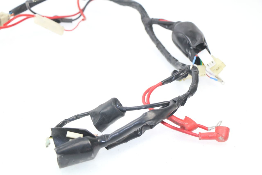 photo de WIRE HARNESS JM MOTORS SC 4T 50 (2018 - 2021) - Product overview