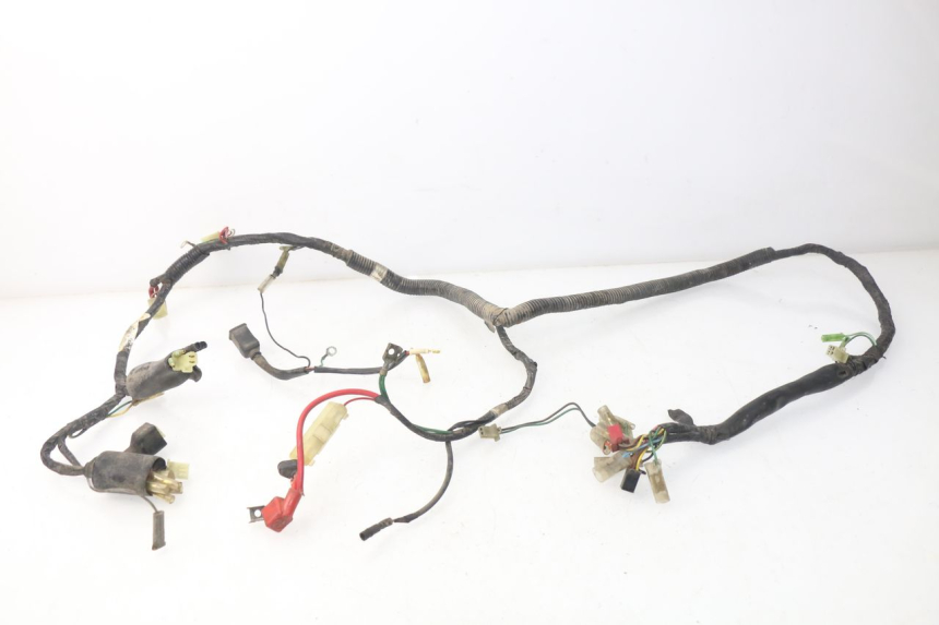 photo de WIRE HARNESS PEUGEOT SC 50 (1988 - 1992) - Main view