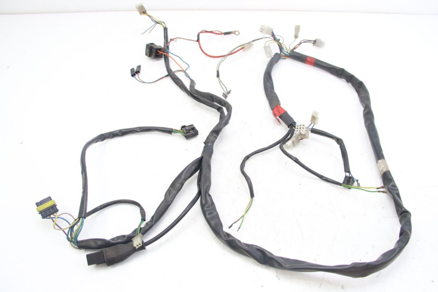 photo de WIRING HARNESS APRILIA SCARABEO 4T 50 (2009 - 2017) - Main view