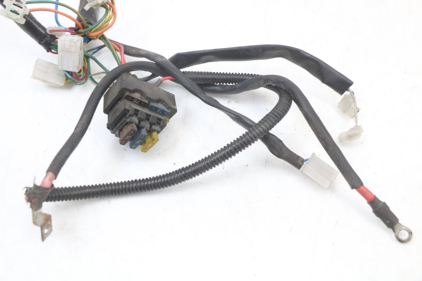 photo de WIRE HARNESS APRILIA SCARABEO GT 125 (1999 - 2007) - Alternative perspective