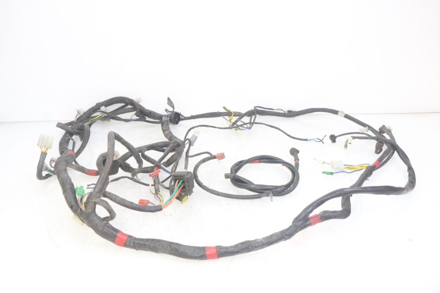 photo de WIRING HARNESS APRILIA SCARABEO LIGHT 125 (2007 - 2011) - Technical close-up