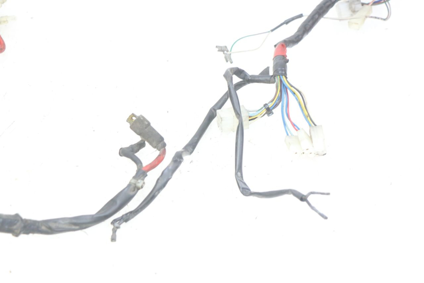 photo de WIRING HARNESS APRILIA SCARABEO 100 (2003 - 2012) - Surface and material condition