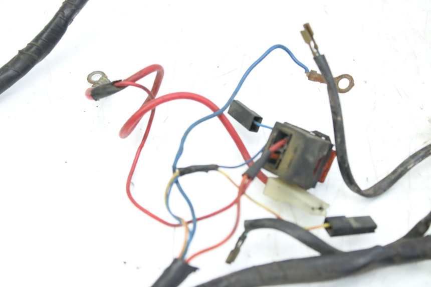 photo de WIRING HARNESS APRILIA SCARABEO 100 (2003 - 2012) - Fixing points details