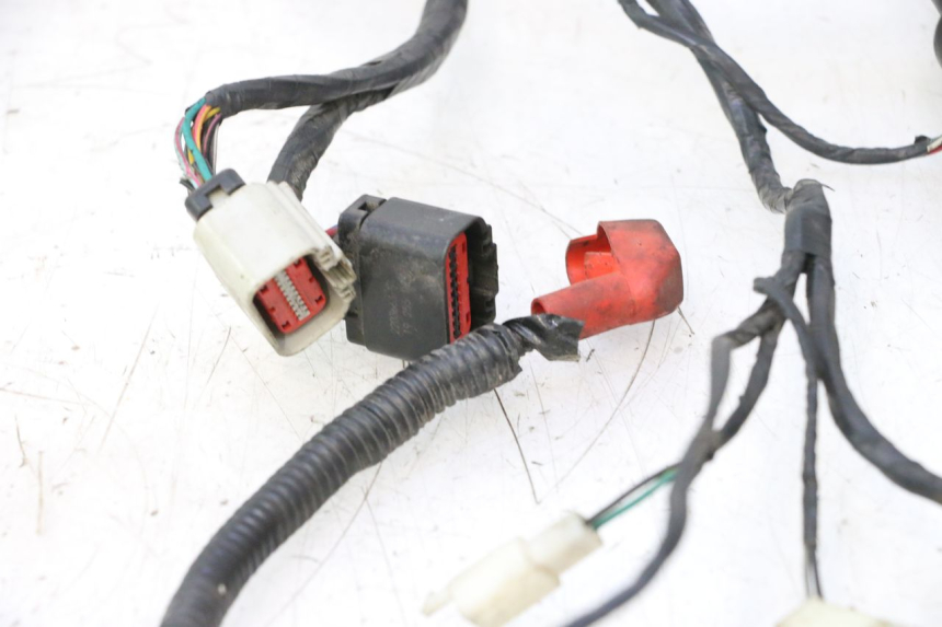 photo de WIRE HARNESS MASH SEVENTY FIVE 125 (2013 - 2021) - Focus on structure