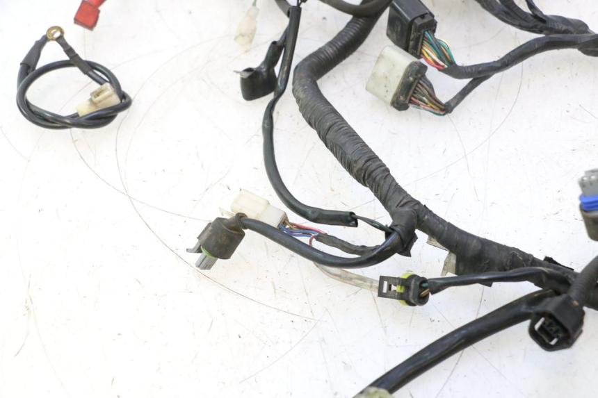 photo de WIRE HARNESS MASH SEVENTY FIVE 125 (2013 - 2021) - Technical close-up