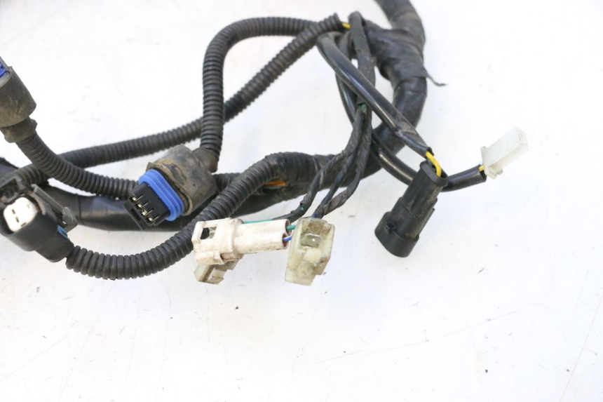 photo de WIRE HARNESS MASH SEVENTY FIVE 125 (2013 - 2021) - Fixing points details