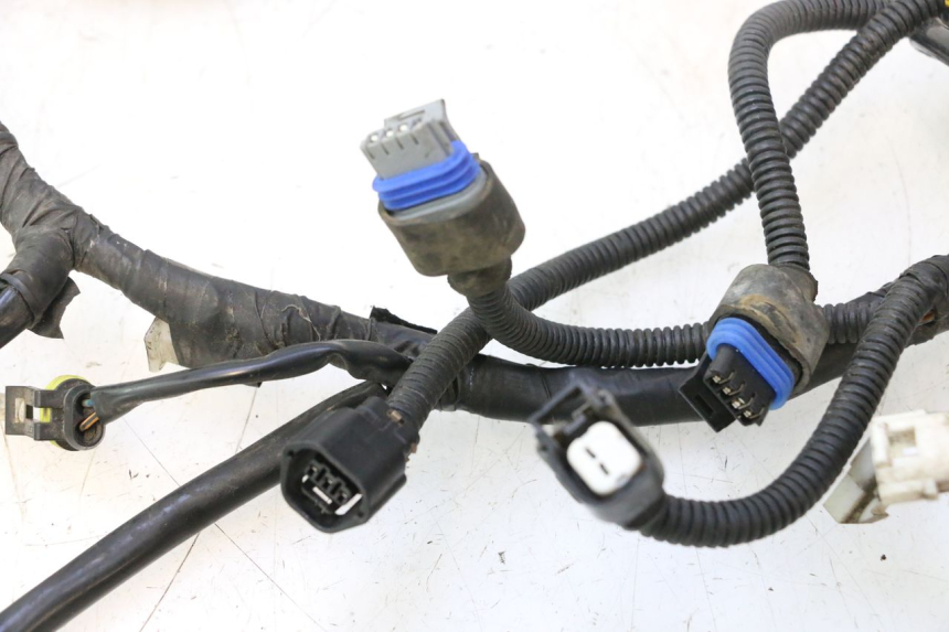 photo de WIRE HARNESS MASH SEVENTY FIVE 125 (2013 - 2021) - Surface and material condition