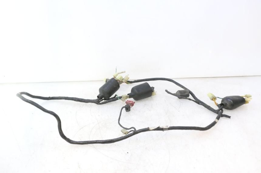 photo de WIRE HARNESS HONDA SH 125 (2001 - 2003) - Main view