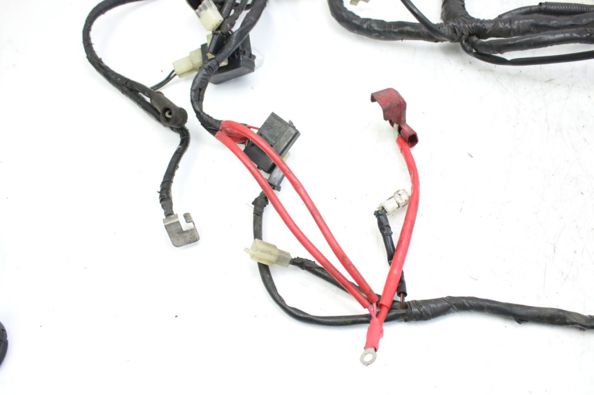 photo de WIRING HARNESS MBK SKYCRUISER 125 (2010 - 2013) - Focus on structure