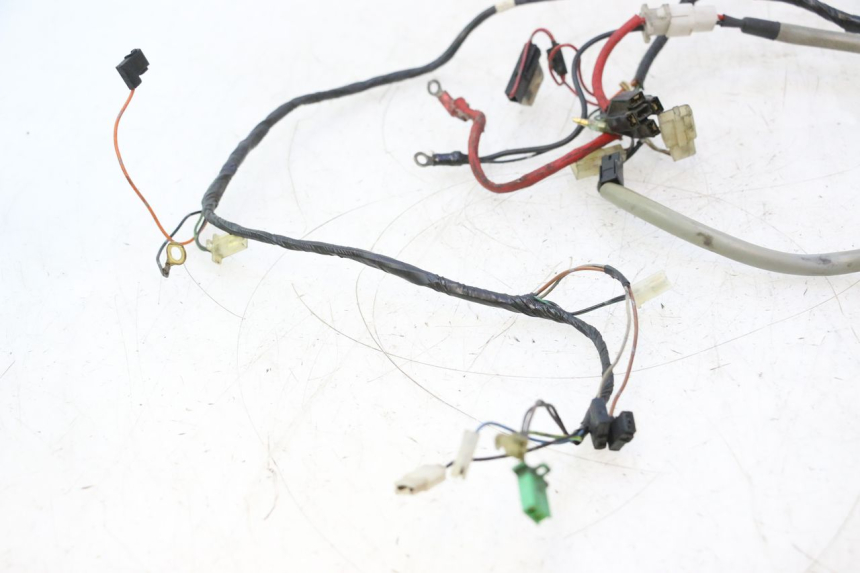 photo de WIRE HARNESS YAMAHA SLIDER 50 (1999 - 2004) - Component detail