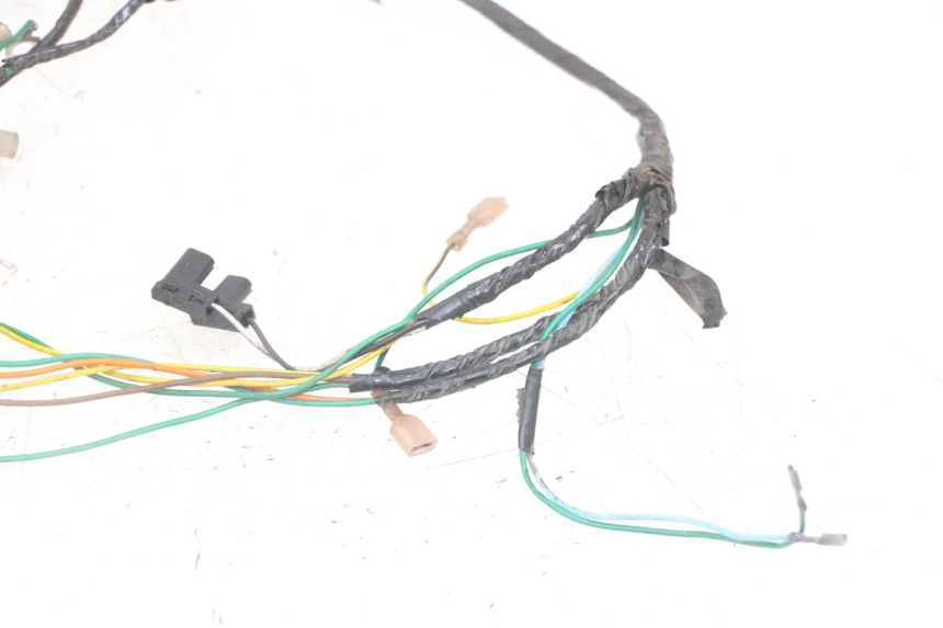 photo de WIRE HARNESS PEUGEOT SPEEDFIGHT 2 LC 50 (2000 - 2009) - Additional view of the item