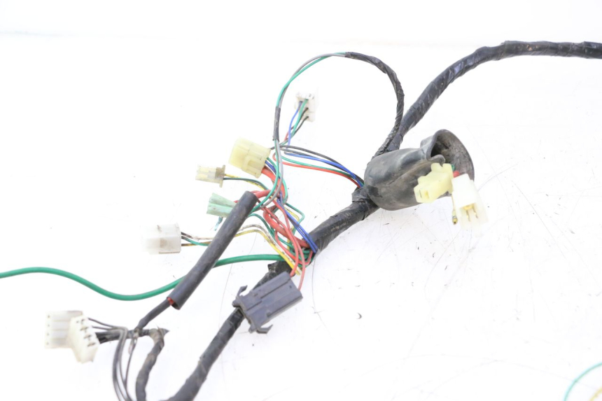 photo de WIRING HARNESS PEUGEOT SPEEDFIGHT LC 50 (1996 - 2002) - Component detail