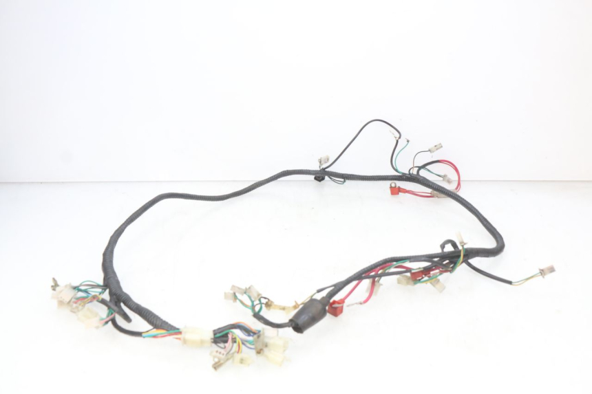 photo de WIRE HARNESS SACHS SPEEDJET 2T 50 (2007 - 2014) - Main view