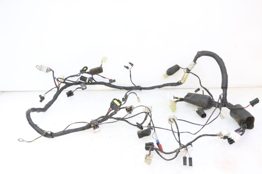 photo de WIRE HARNESS TRIUMPH SPRINT 900 (1995 - 1998) - Main view